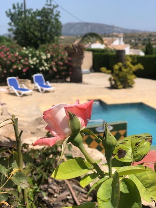 Rustico Appartment 'Olta' In Finca, See-And Garden Side 테울라다 외부 사진